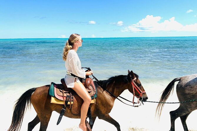 60-Minute Private Horseback Riding Experience in Turks and Caicos - Key Points About the Beach Ride