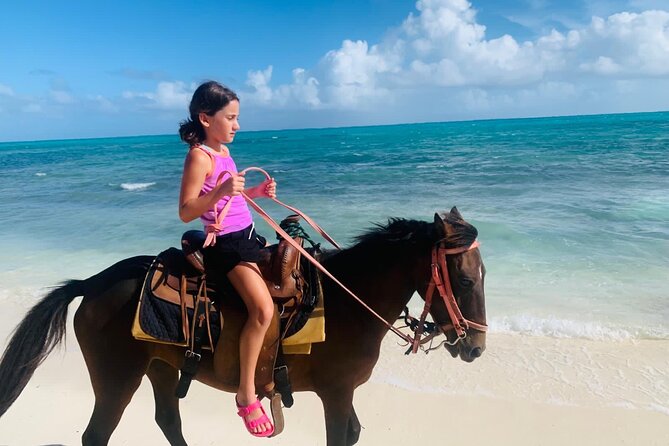 60-Minute Private Horseback Riding Experience in Turks and Caicos - What the $300 Price Really Buys