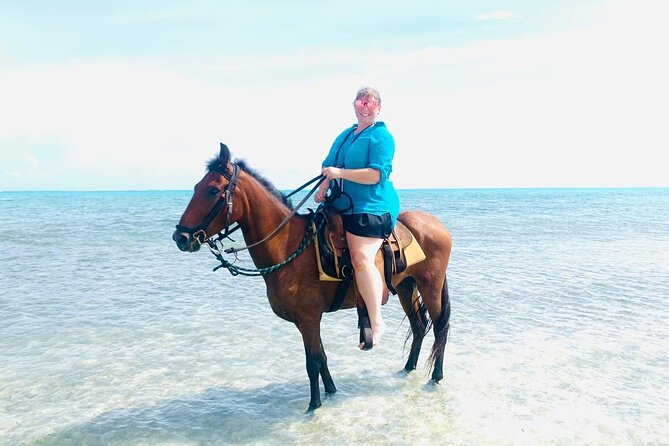 60-Minute Private Horseback Riding Experience in Turks and Caicos - Meeting the Horses and Getting Comfortable