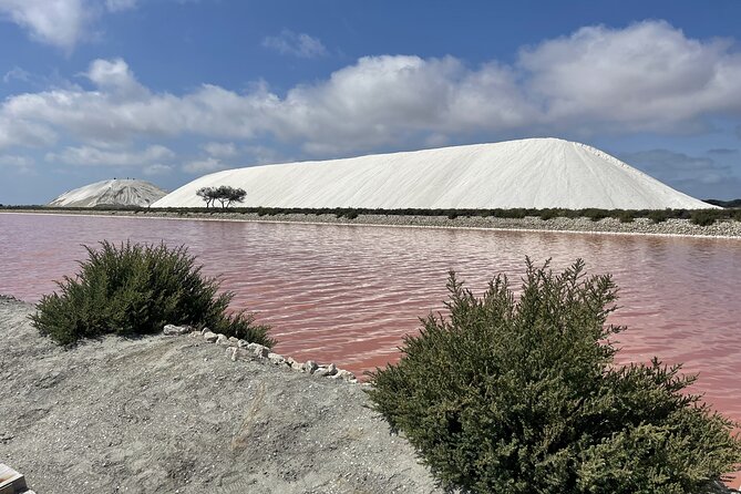 8 Hours Visit to the Camargue and the Salins d’Aigues-Mortes - Key points to know before you book