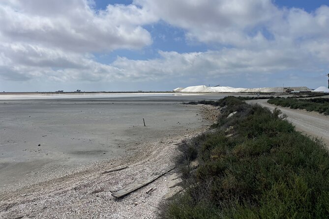 8 Hours Visit to the Camargue and the Salins d’Aigues-Mortes - Why this Camargue day works from Montpellier