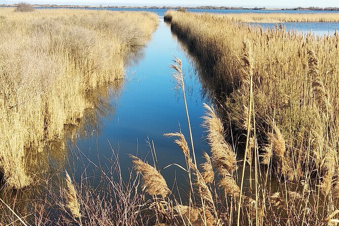 8 Hours Visit to the Camargue and the Salins d’Aigues-Mortes - Timing, comfort, and what to bring
