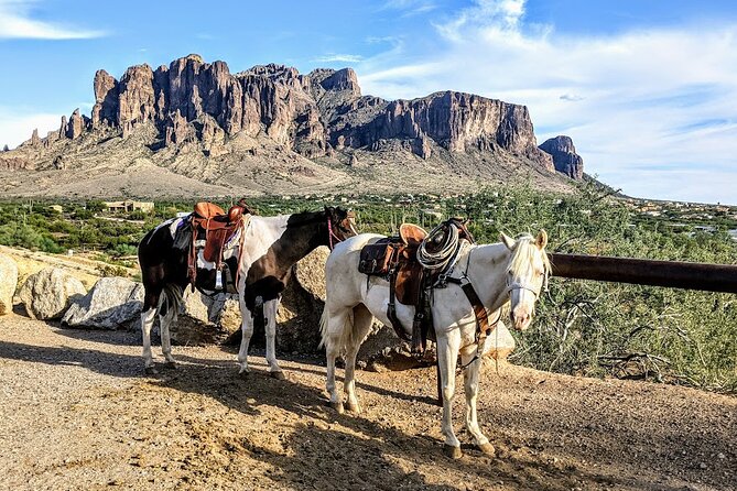 A Day In The Old West Adventure including Horseback Ride and Cowboy Lunch - Weather and cancellation rules