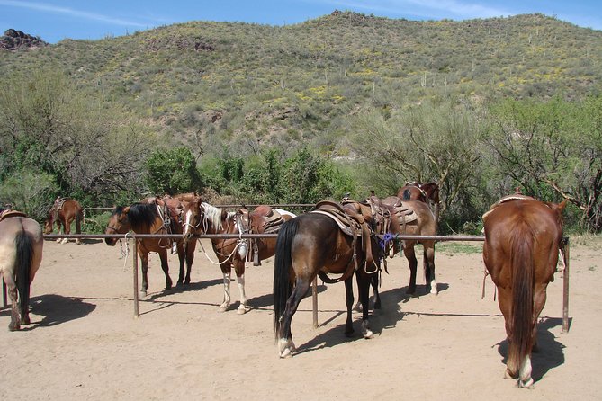 A Day In The Old West Adventure including Horseback Ride and Cowboy Lunch - Cowboy games beyond the saddle