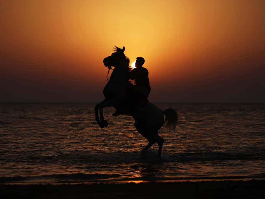 Abu Dhabi: Hudairiyat Island Horse Riding Experiences - Key points to know before booking