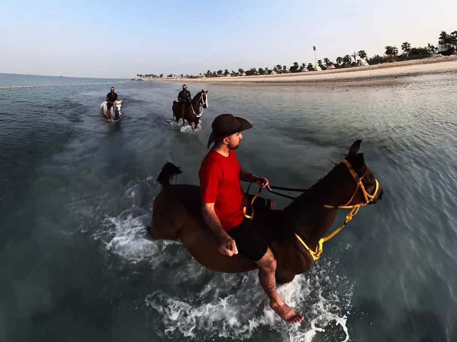 Abu Dhabi: Hudairiyat Island Horse Riding Experiences - How much value do you get for $72?