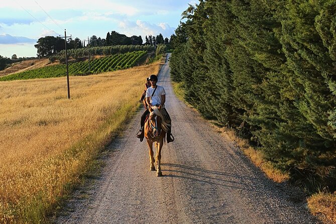 Adventure on horseback in the Tuscan countryside - Key points at a glance
