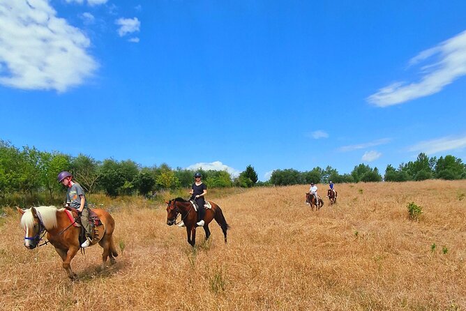 Adventure on horseback in the Tuscan countryside - Is $84.65 a fair price?