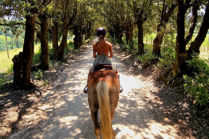 Adventure on horseback in the Tuscan countryside - Weather and cancellation details