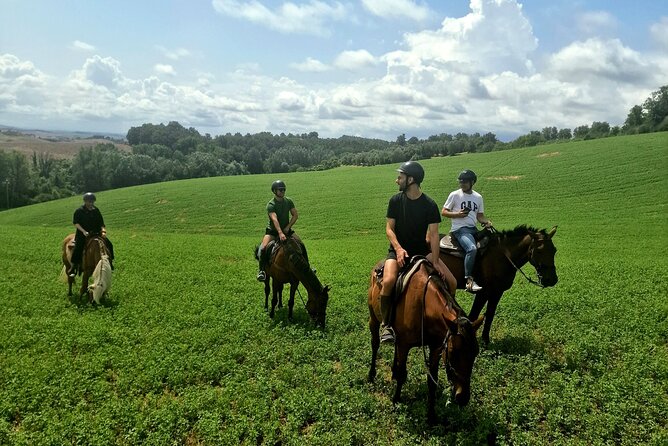 Adventure on horseback in the Tuscan countryside - Who will enjoy this Siena ride?