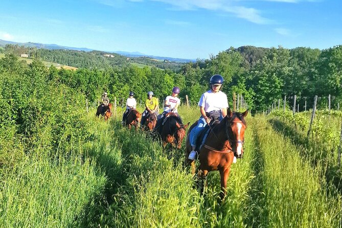 Adventure on horseback in the Tuscan countryside - A guide who keeps things easy