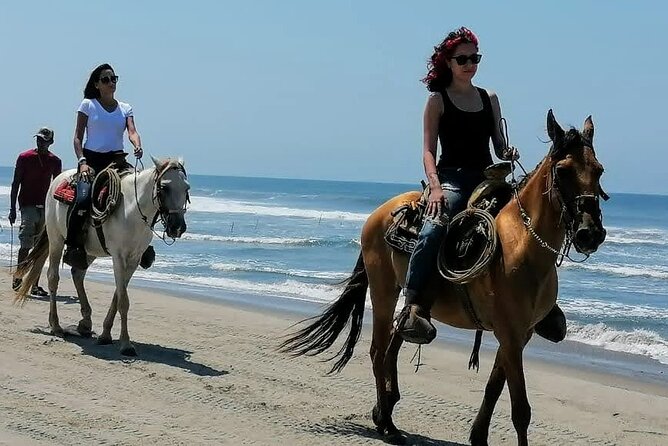 Afro-Mex Village Experience -Horseback Ride -Turtle Hatch & Crocs - Why this Acapulco outing works so well