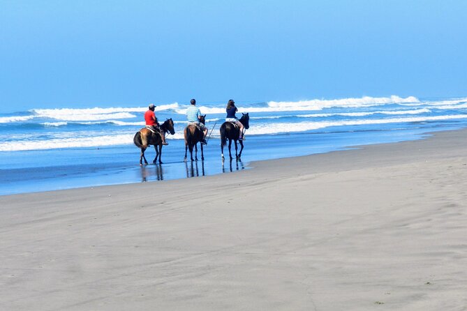 Afro-Mex Village Experience -Horseback Ride -Turtle Hatch & Crocs - A new crocodile farm adds a different kind of stop