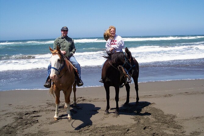 Afro-Mex Village Experience -Horseback Ride -Turtle Hatch & Crocs - Who should book this experience?