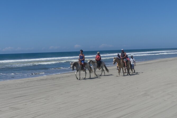 Afro-Mexican Village: Horseback Beach Ride, Crocs & Cliff Diver - A beach ride that begins far from the usual resort routine