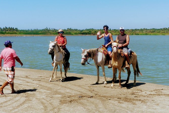Afro-Mexican Village: Horseback Beach Ride, Crocs & Cliff Diver - Booking details worth checking before you pay