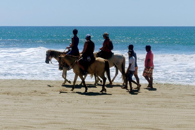 Afro-Mexican Village: Horseback Beach Ride, Crocs & Cliff Diver - Downtown Acapulco and the cliff-diving show