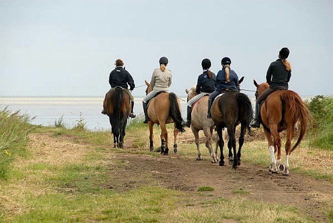 Agadir 2-Hour Horse Riding Experience with Pickup - Is $40.65 a fair price?