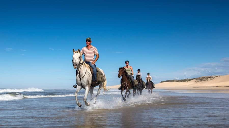 Agadir and Taghazout: 2-Hour Horseback Ride on the Beach - The best and weakest parts in plain terms