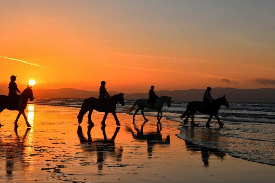 Agadir and Taghazout: 2-Hour Horseback Ride on the Beach - From hotel reception to the stables