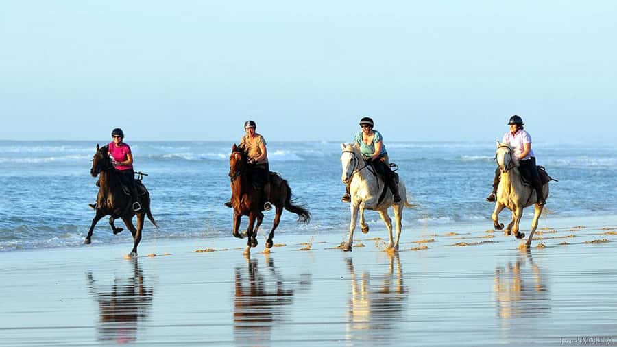 Agadir and Taghazout: 2-Hour Horseback Ride on the Beach - The 90-minute route along Ouirer Beach