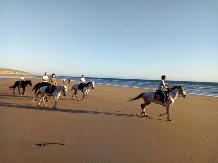 Agadir and Taghazout: 2-Hour Horseback Ride on the Beach - Why the guides make such a difference