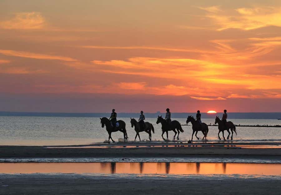 Agadir and Taghazout: 2-Hour Horseback Ride on the Beach - Sunset, sunrise, and the best time to go