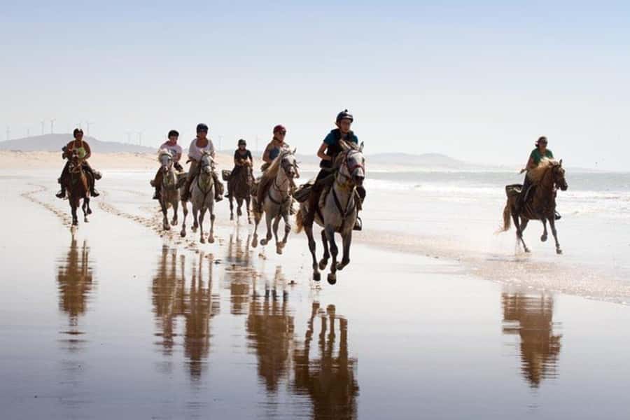 Agadir and Taghazout: 2-Hour Horseback Ride on the Beach - What $176 buys you