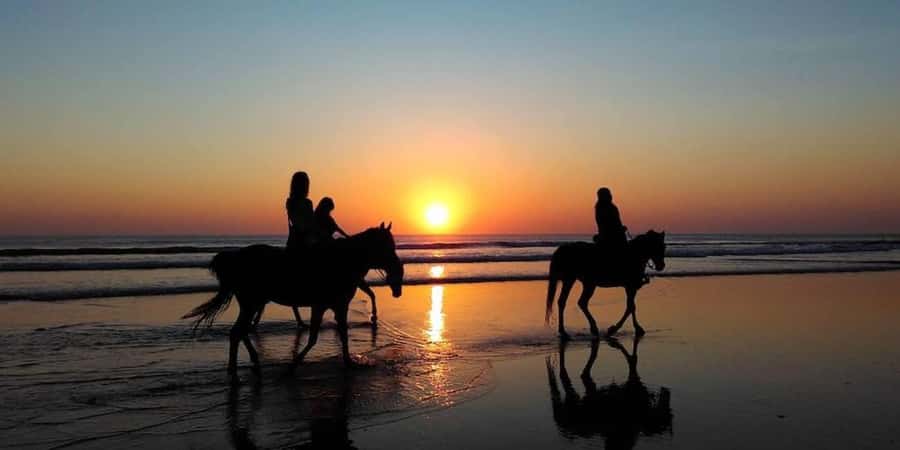 Agadir and Taghazout: 2-Hour Horseback Ride on the Beach - Who should book this ride