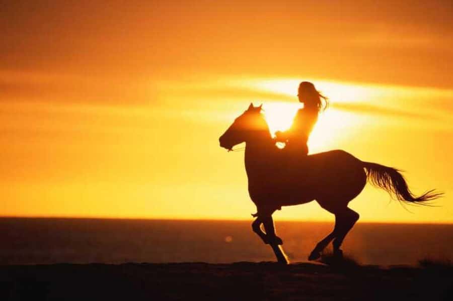 Agadir and Taghazout: 2-Hour Horseback Ride on the Beach - Meeting the horses and finding your pace