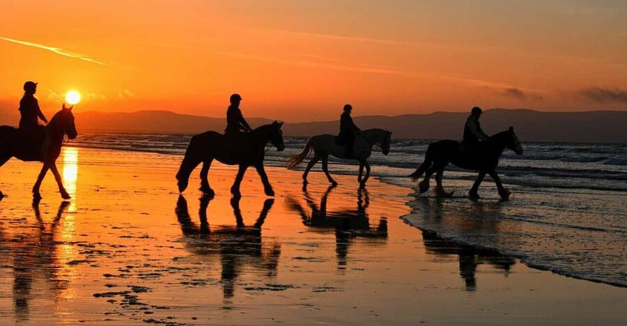 Agadir and Taghazout: Morning Horse Ride on The Beach - What to bring and what to expect