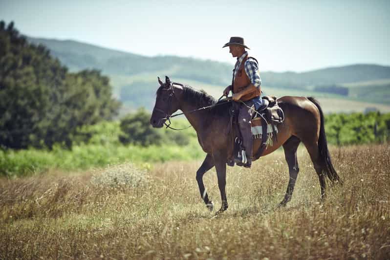 Agadir: Forest and Sand Dunes Guided Horse Riding - Key points to know