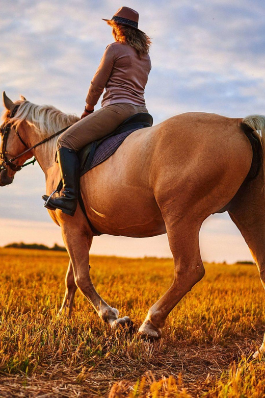 Agadir: Forest and Sand Dunes Guided Horse Riding - Useful planning details