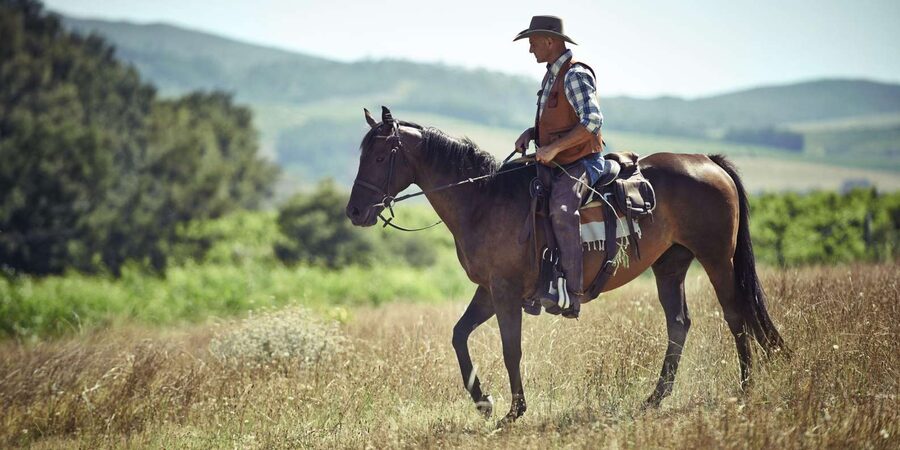 Agadir: Forest and Sand Dunes Guided Horse Riding - Along the beach and across the dunes