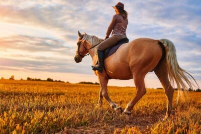 Forest and Sand Dunes Guided Horse Riding
