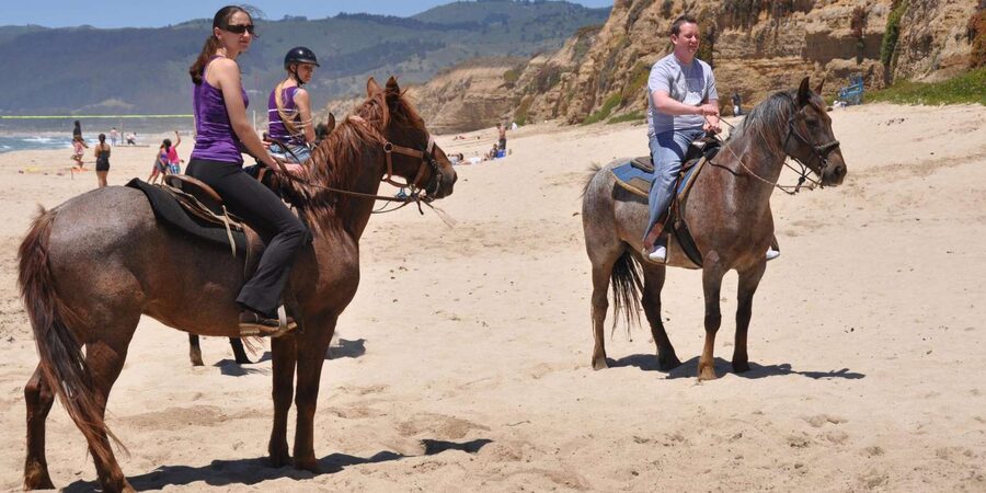 Agadir: Forest and Sand Dunes Guided Horse Riding - Tea back at the stable