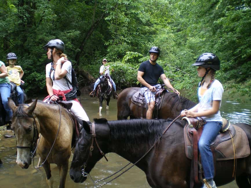Agadir: Forest and Sand Dunes Guided Horse Riding - Who should book this Agadir horse ride?