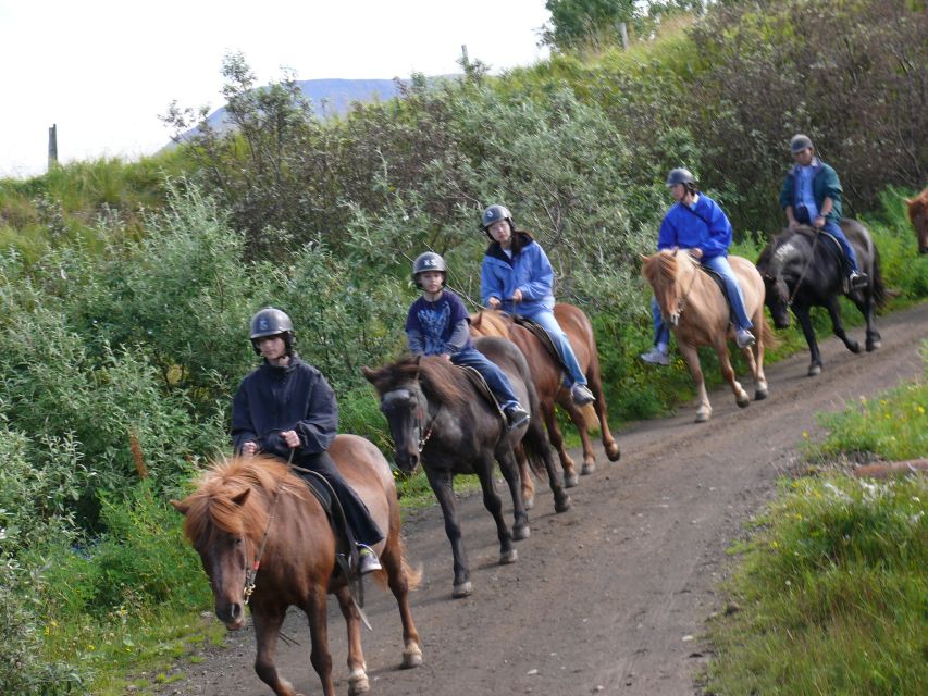 Agadir: Guided Horse Riding Along Flamingo River with Tea - Crossing Agadir’s Rolling Desert Dunes