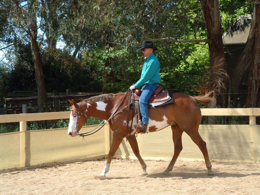 Agadir: Guided Horse Riding Along Flamingo River with Tea - Riding Beneath Fragrant Eucalyptus Trees