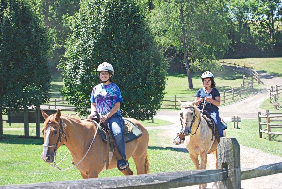 Agadir: Guided Horse Riding Along Flamingo River with Tea - Following Flamingo River