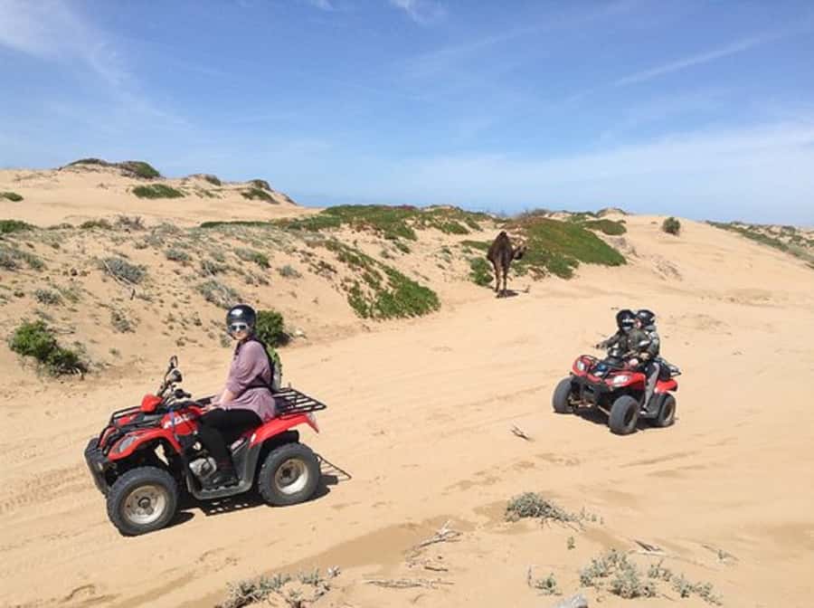 Agadir: Half-Day Quad Biking and Sunset Horse Riding - Who should book this experience