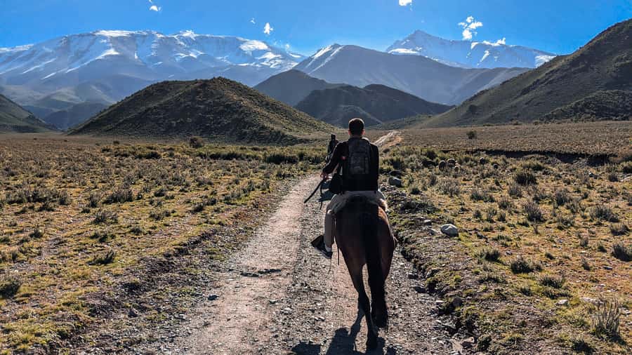Agadir Horse Riding visite the flamingo river with tea drink - Languages, timing, and booking flexibility