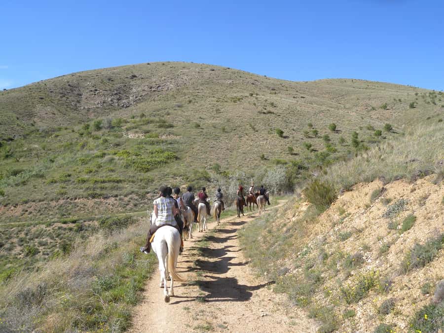 Agadir Horse Riding visite the flamingo river with tea drink - Is the flamingo river ride worth booking?