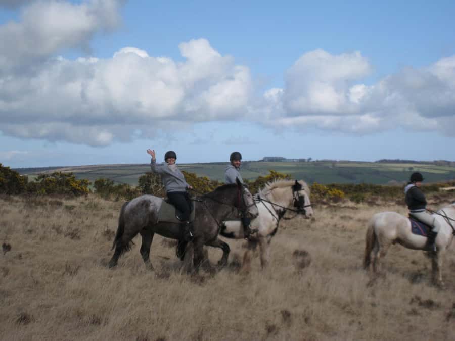 Agadir Horse Riding visite the flamingo river with tea drink - Walking pace, sandy track, and cantering