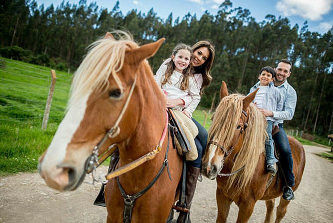 Agadir Quad Biking and Horse Riding with snacks - Tea, Moroccan cakes, and a useful pause