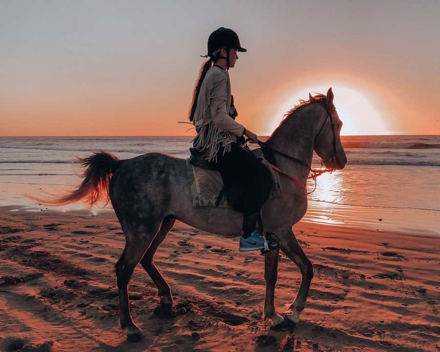 Agadir: Sunset Horse Riding Experience And Relaxing Massage - From Agadir Hotel to Open Beach