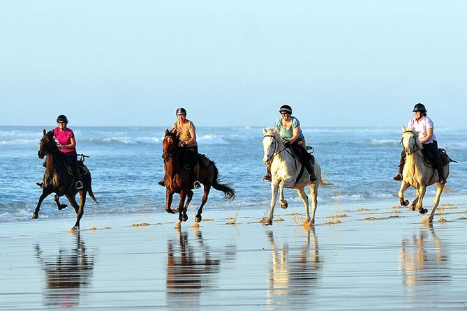 Agadir/Taghazout Horse Ride on the beach - Riding six kilometers toward the Atlantic