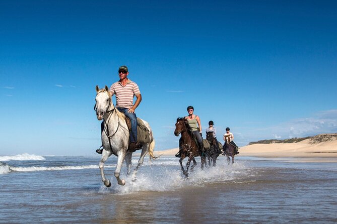 Agadir/Taghazout Horse Ride on the beach - What the guides do well