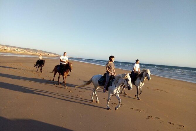 Agadir/Taghazout Horse Ride on the beach - Who should book this beach ride?