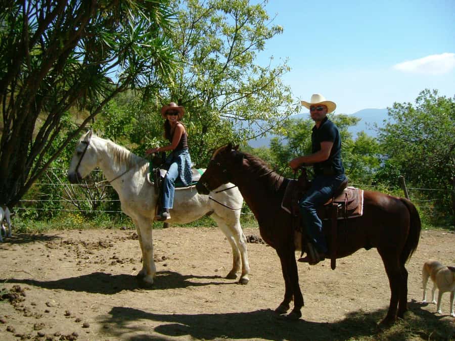 Agadir/Taghazout: Horse Rides Experience With Transfers - What the Agadir horse ride is really like
